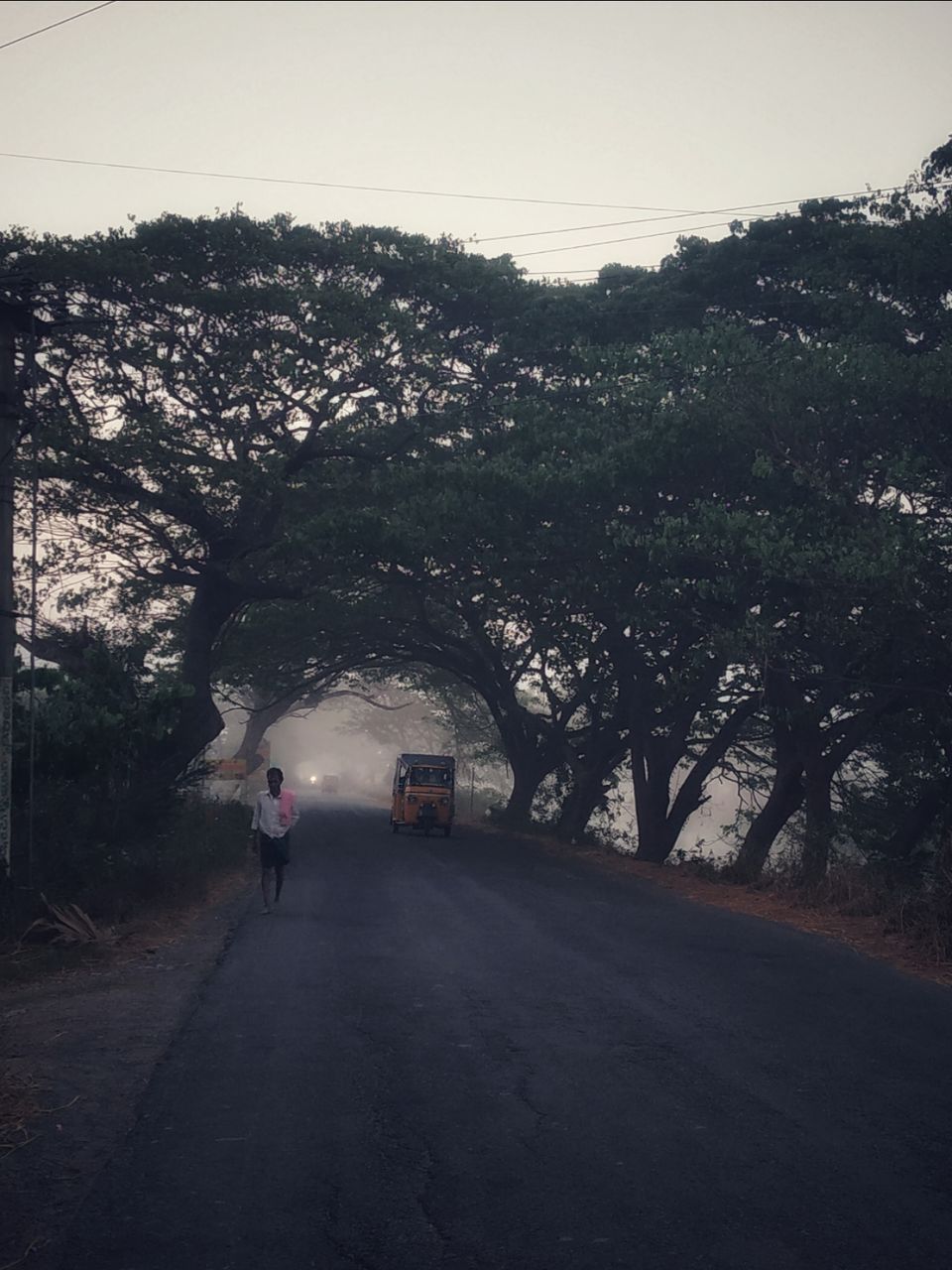 Photo of An unseen beauty of Bhimavaram - Road Trip #offbeatbhimavaram by Rohith mathi
