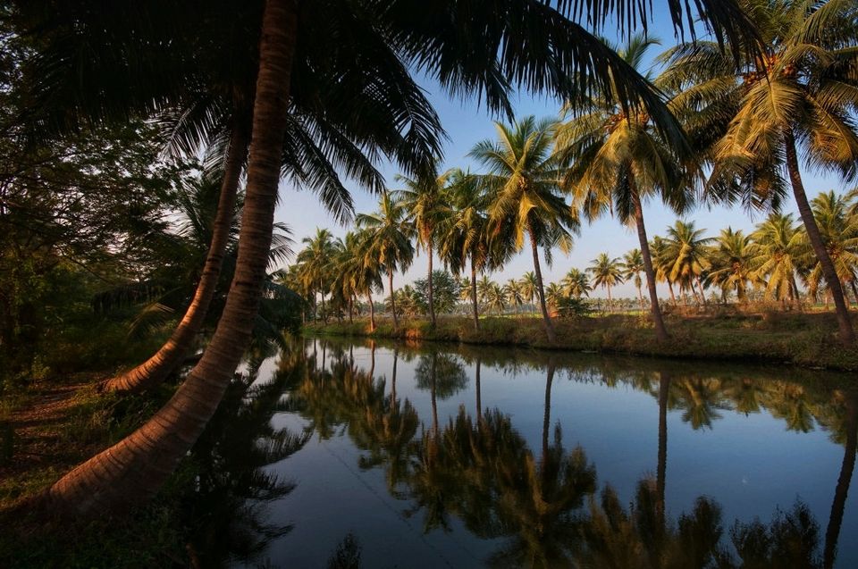 Photo of Pallevada, Andhra Pradesh, India by Rohith mathi