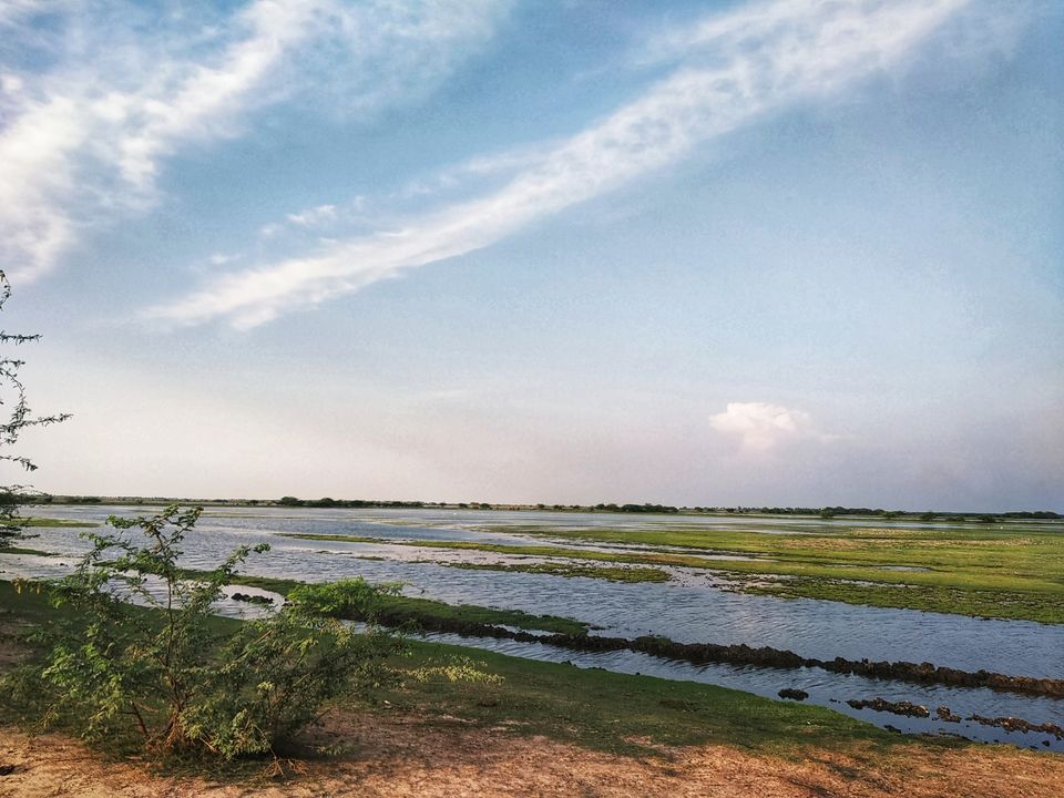 Photo of Kolleru Lake, Andhra Pradesh by Rohith mathi