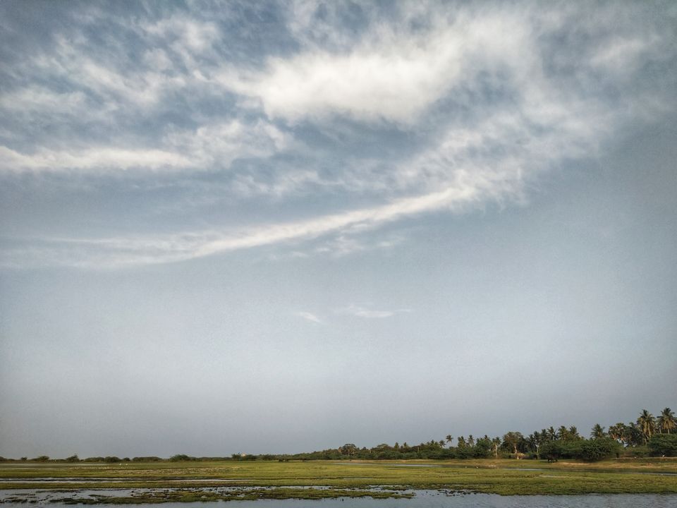 Photo of Kolleru Lake, Andhra Pradesh by Rohith mathi