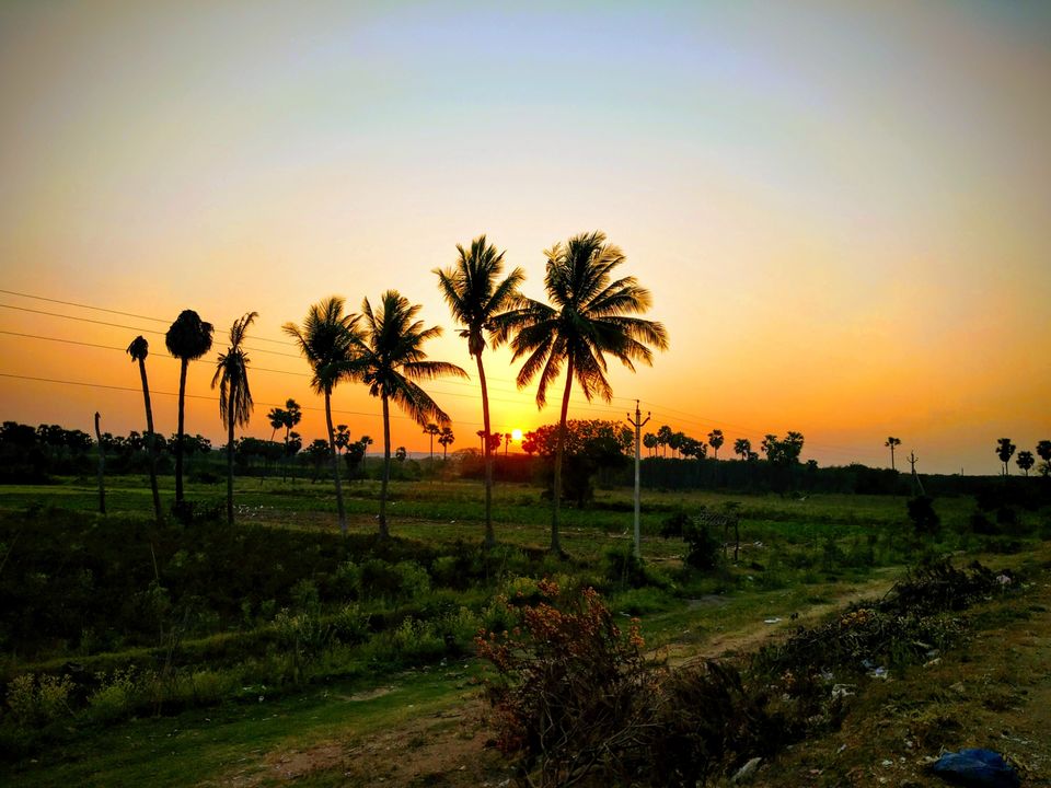 Photo of Kolleru Lake, Andhra Pradesh by Rohith mathi