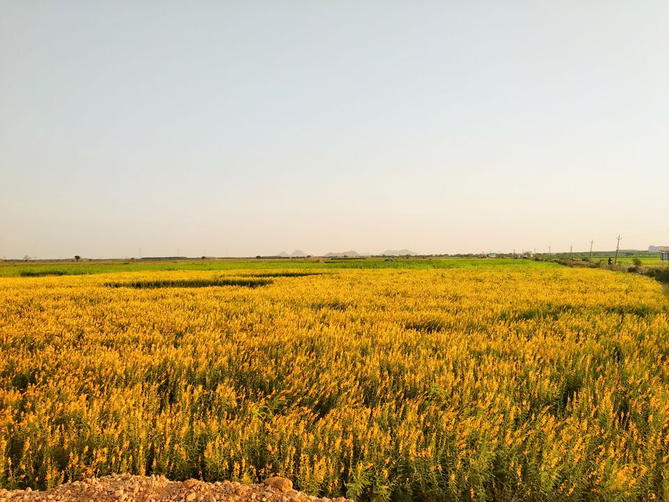 Photo of An unseen beauty of Bhimavaram - Road Trip #offbeatbhimavaram by Rohith mathi
