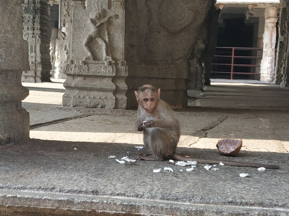 Photo of Virupaksha Temple East Gopura, Hampi, Karnataka, India by Rohith mathi
