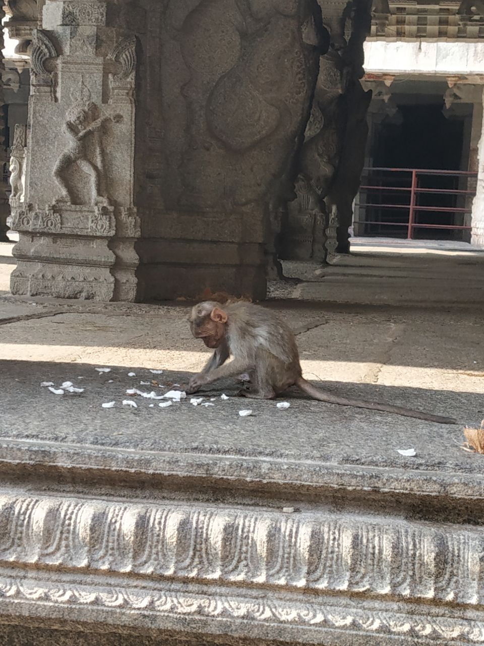 Photo of Virupaksha Temple East Gopura, Hampi, Karnataka, India by Rohith mathi