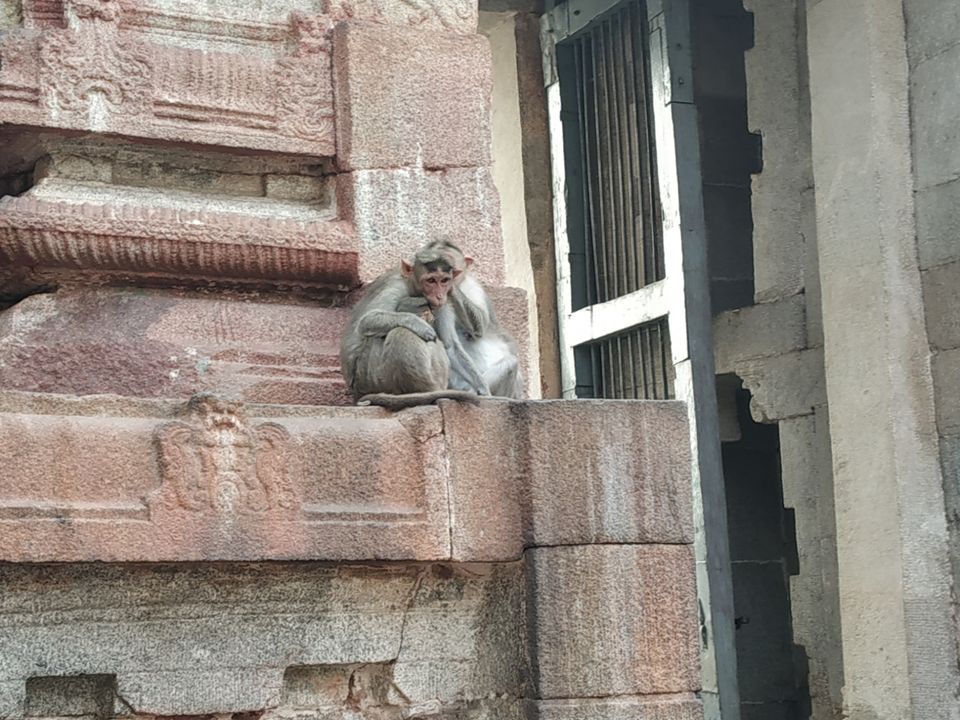 Photo of Virupaksha Temple East Gopura, Hampi, Karnataka, India by Rohith mathi