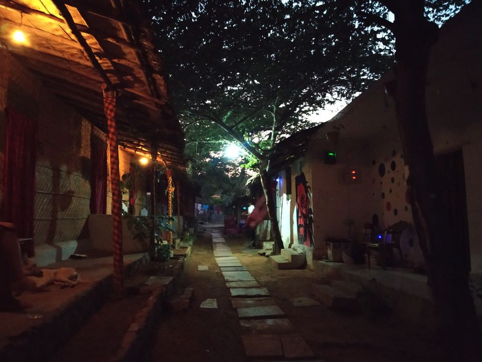 Photo of Jungle Tree Hampi, Rangapur, Karnataka, India by Rohith mathi