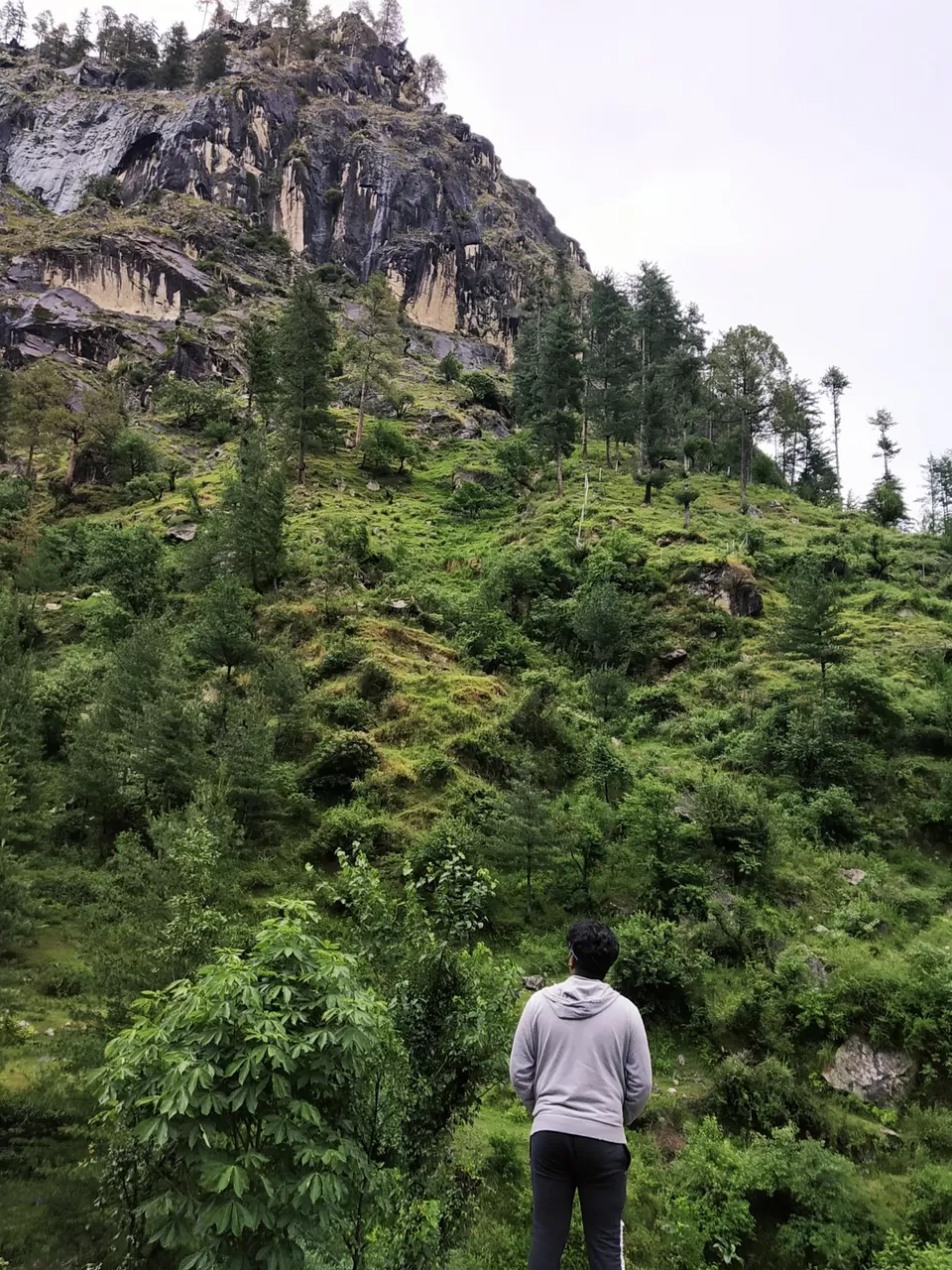 Photo of Backpacker's Nest, Choj, Kasol, Himachal Pradesh, India by Rohit mathi