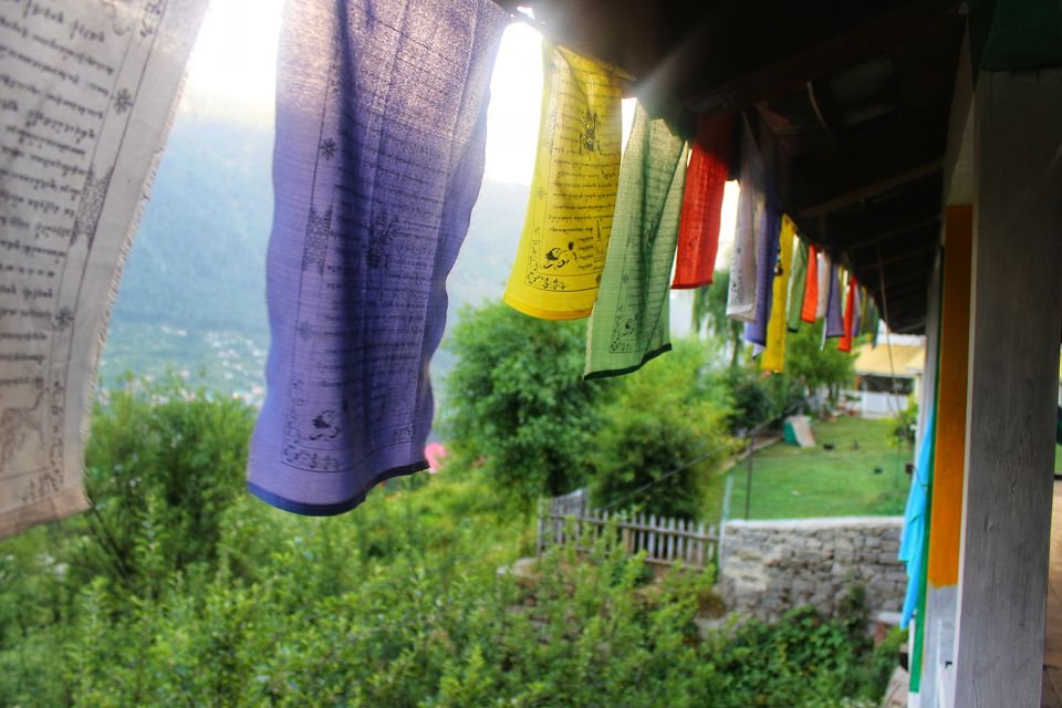 Photo of Yes, there is home for everyone in Manali - C6 Manali by Rohith mathi