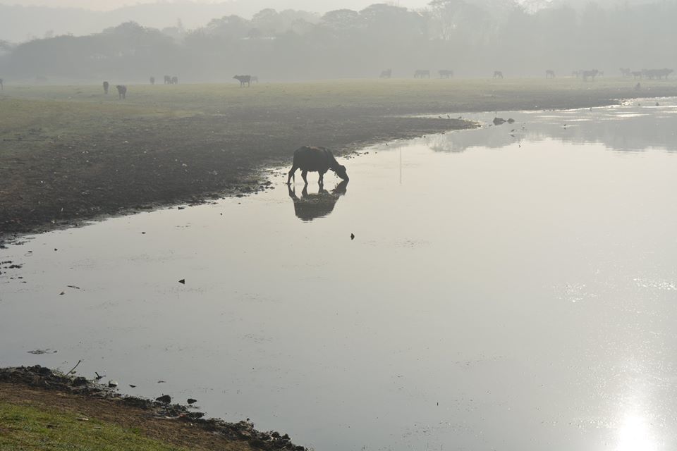 Photo of Damdama Lake 3/4 by Swati Sharma