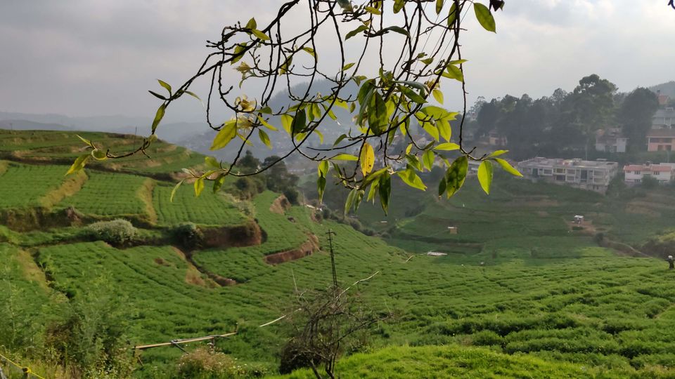 Photo of Ooty: Offbeat 2/6 by Arkanil Dutta