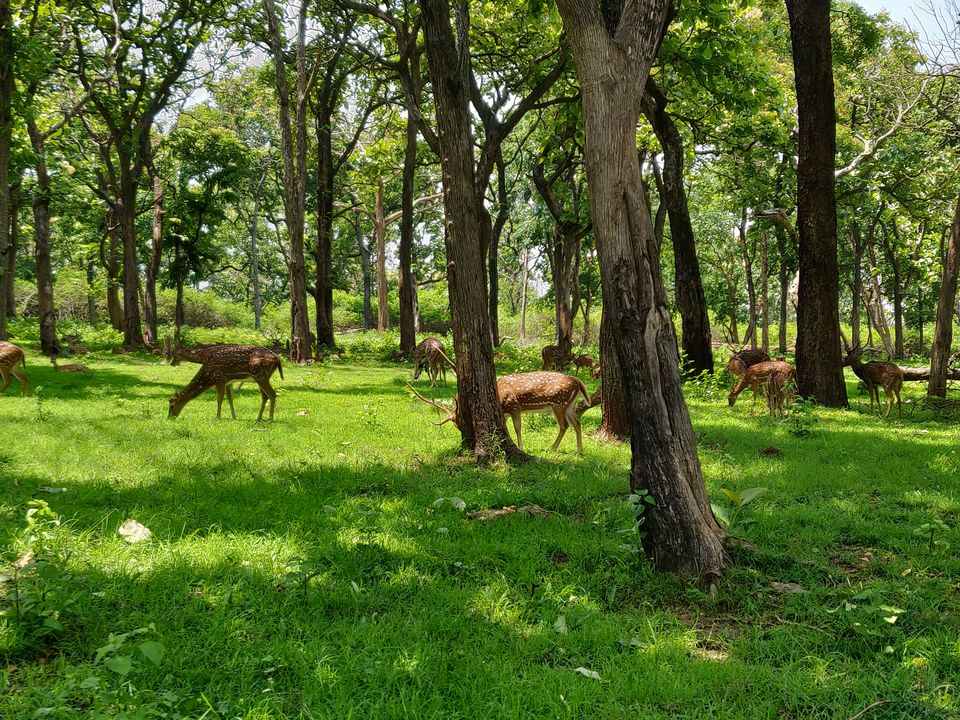 Photo of Ooty: Offbeat 1/6 by Arkanil Dutta