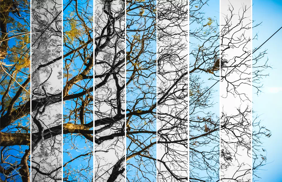 Photo of Mussoorie, Uttarakhand, India by Kshitij Sareen