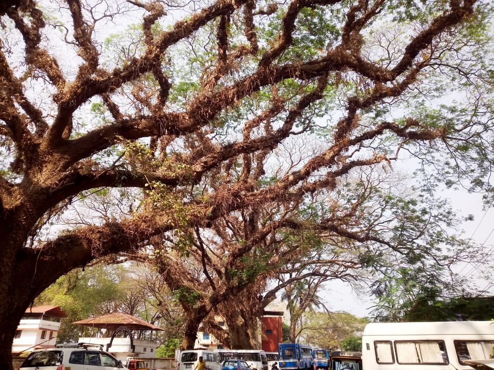 Photo of Because I miss Kochi! by Khushbu Kumari