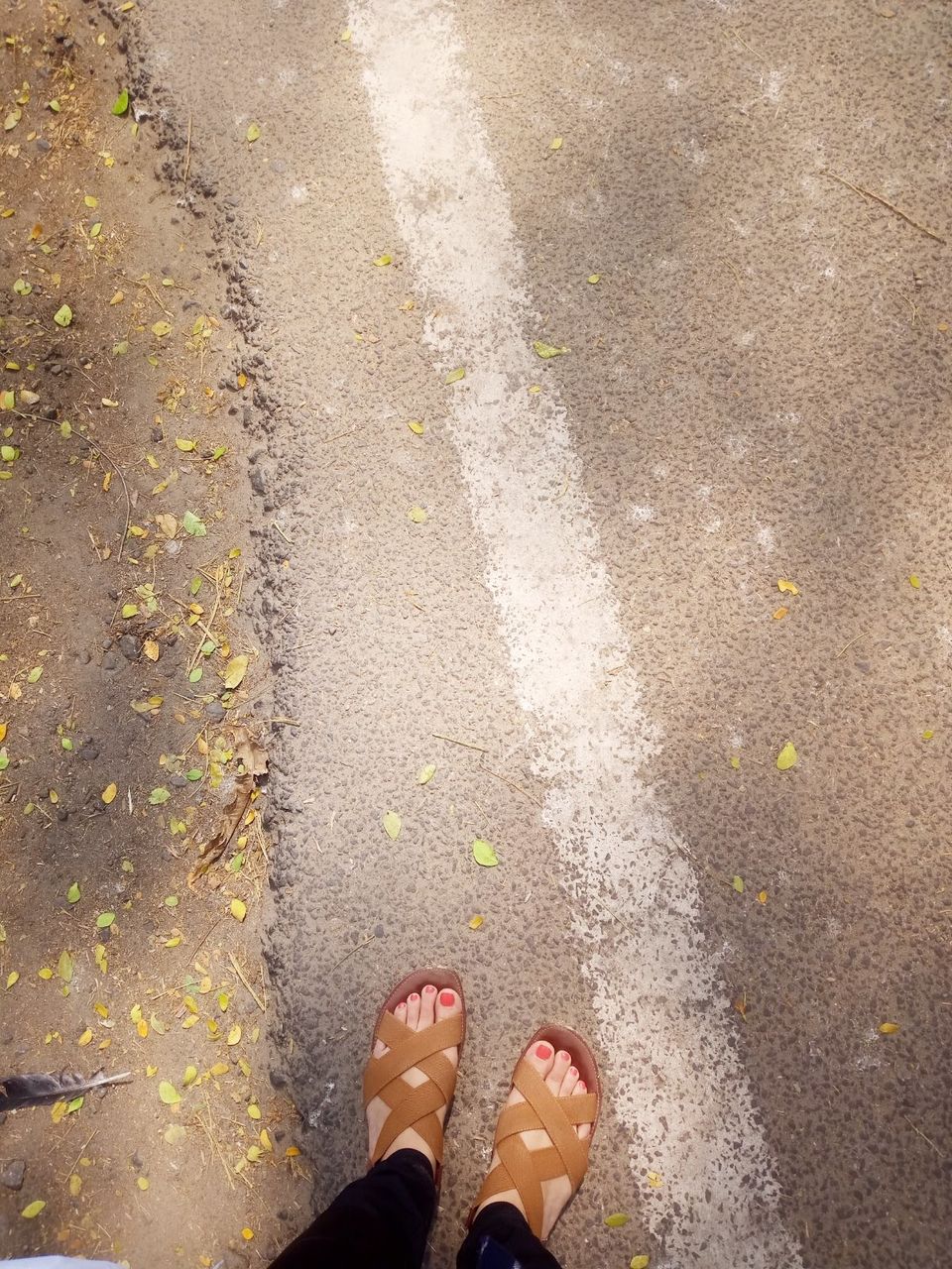 Photo of Because I miss Kochi! by Khushbu Kumari