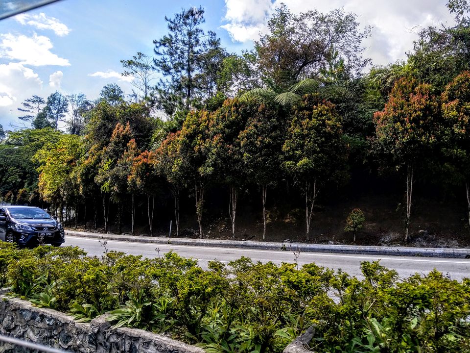 Photo of Lush Green Genting Highland, Malaysia - Part I 1/3 by Khushbu Kumari