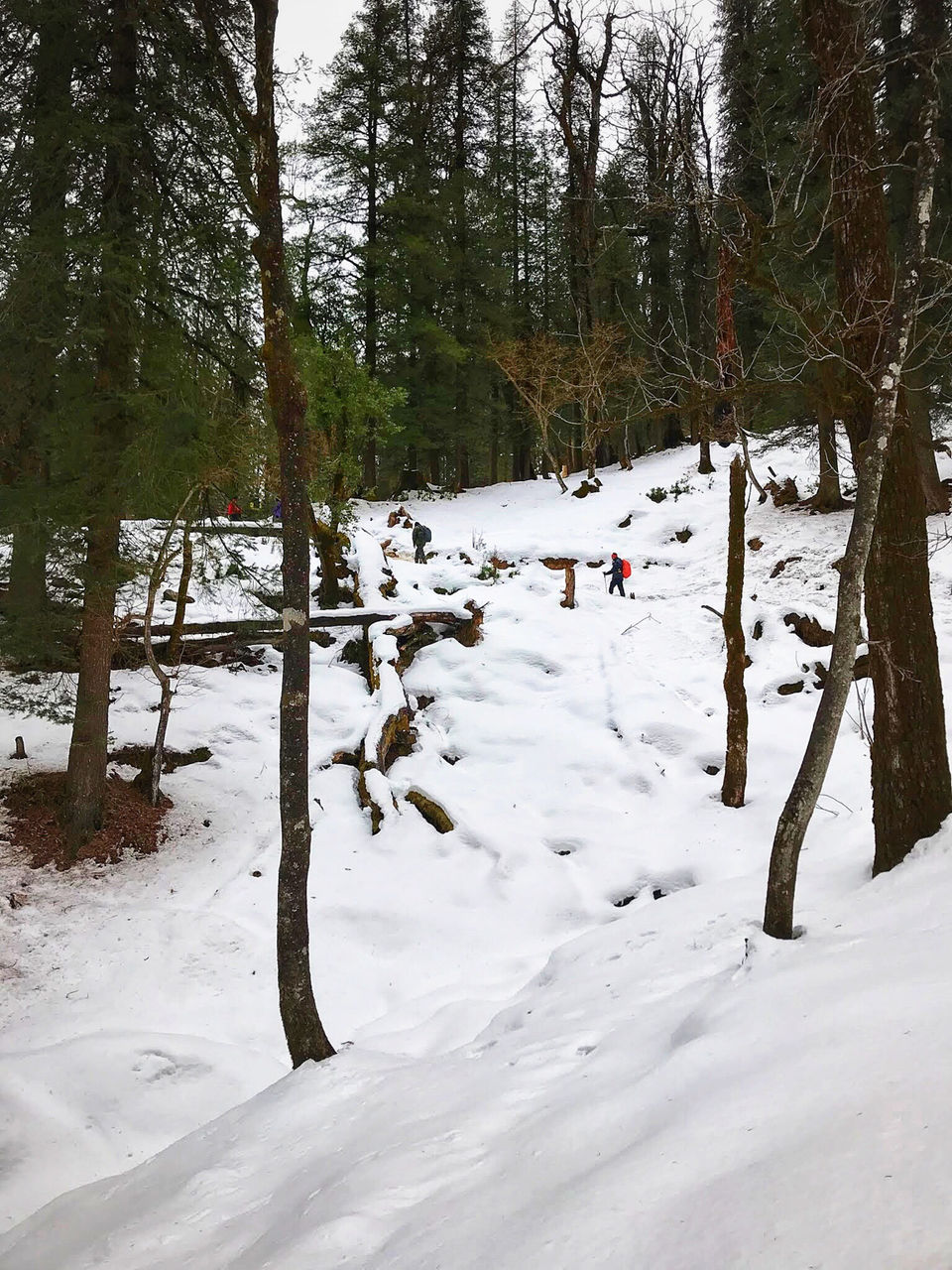 Photo of Juda Ka Talab, Supin Range, Uttarakhand by Jiyaa Sarkar