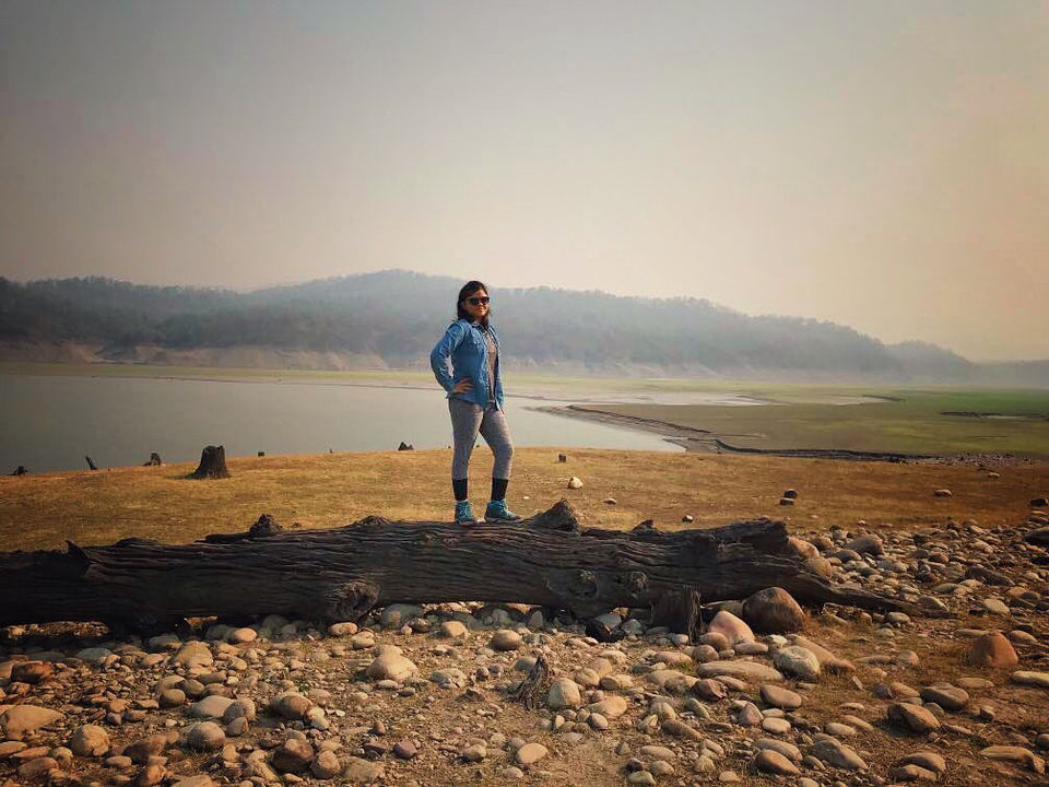 Photo of Jim Corbett National Park, Ramnagar, Uttarakhand, India by Jiyaa Sarkar