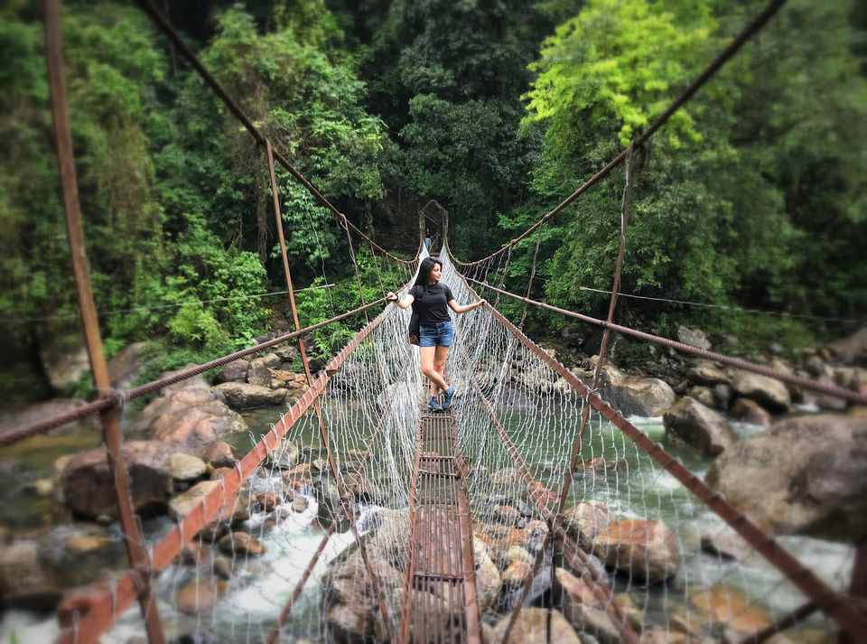 Photo of Double Decker Living Root Bridge, Cherrapunjee, Meghalaya, India by Jiyaa Sarkar