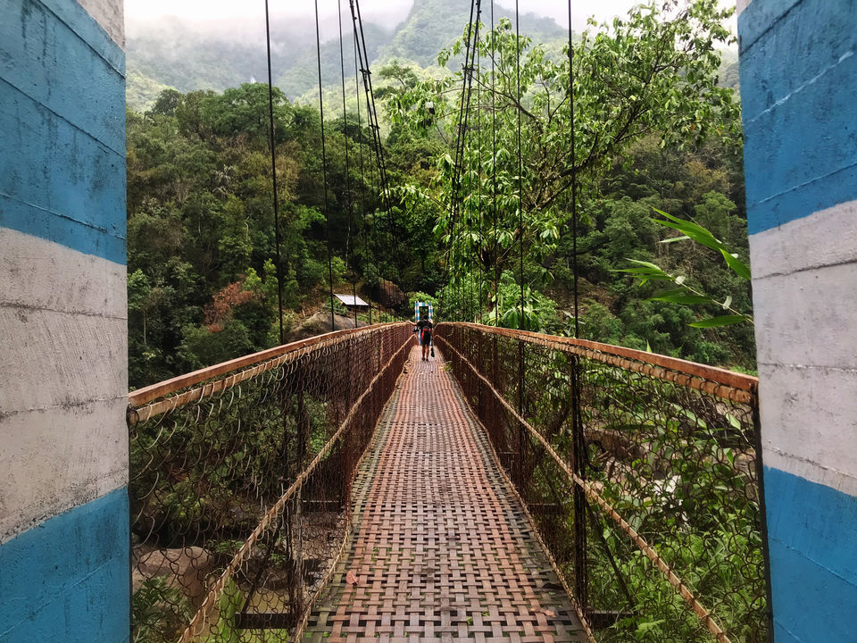Photo of Double Decker Living Root Bridge, Cherrapunjee, Meghalaya, India by Jiyaa Sarkar