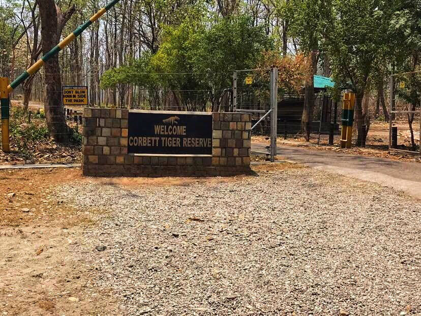 Photo of The Dense Forest Of Jim Corbett..#notinthehills #beattheheat #summertrip by Jiyaa Sarkar