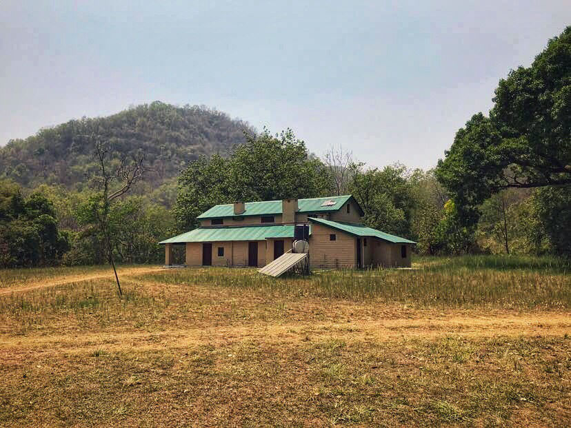 Photo of The Dense Forest Of Jim Corbett..#notinthehills #beattheheat #summertrip by Jiyaa Sarkar