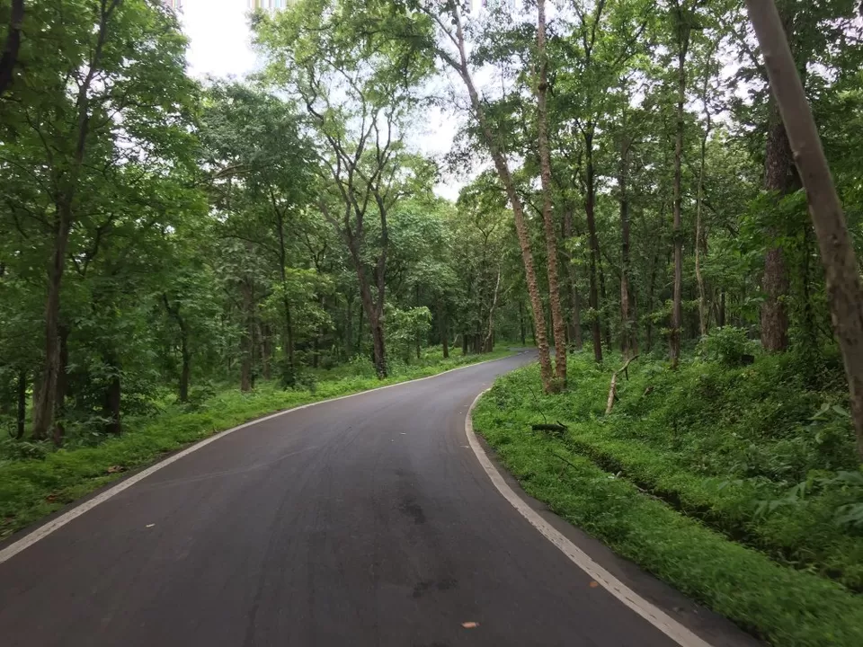 Photo of Tansa Wildlife Sanctury, Maharashtra by Ajay Chorat