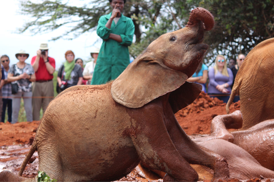 Photo of Spending A Long Weekend At Nairobi, Kenya. by Shivangi Bajpai