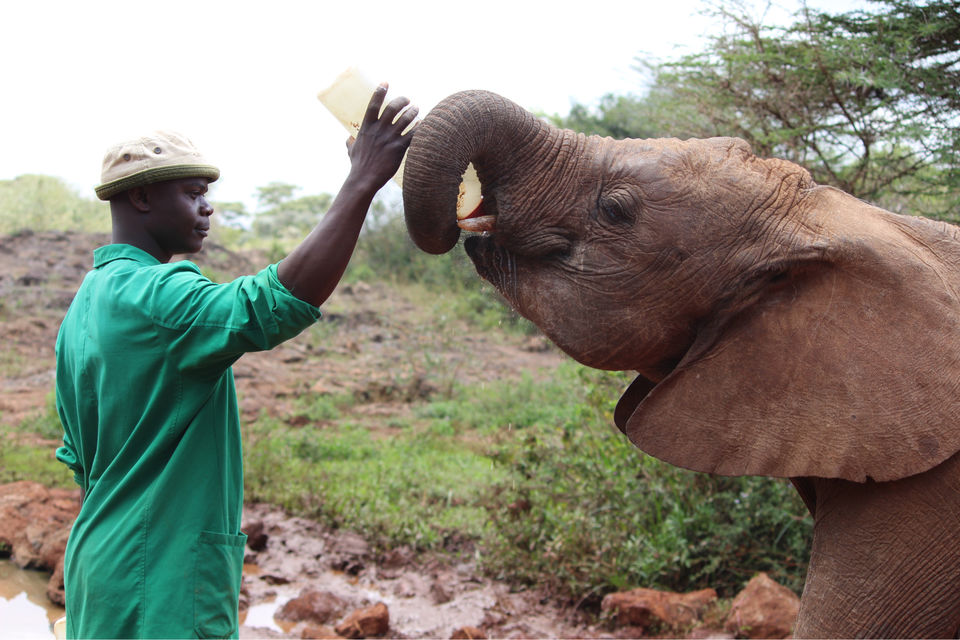 Photo of Spending A Long Weekend At Nairobi, Kenya. by Shivangi Bajpai