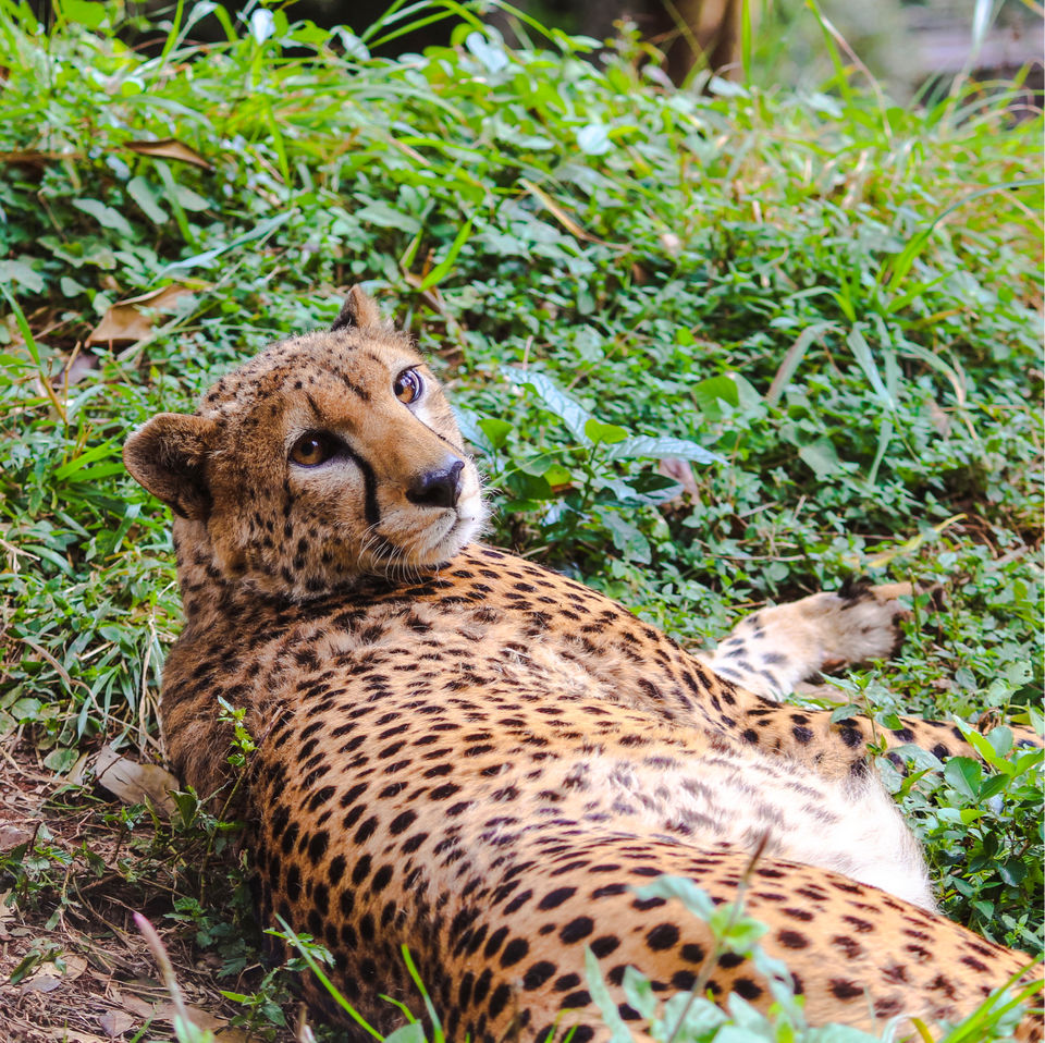 Photo of Spending A Long Weekend At Nairobi, Kenya. by Shivangi Bajpai