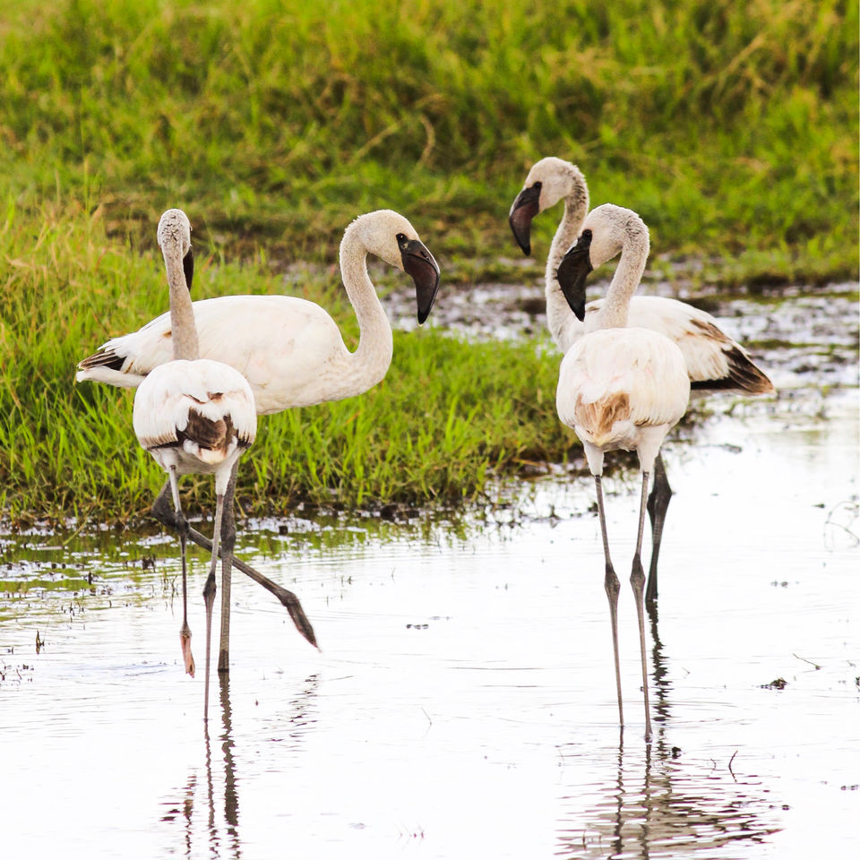 Photo of Spending A Long Weekend At Nairobi, Kenya. by Shivangi Bajpai