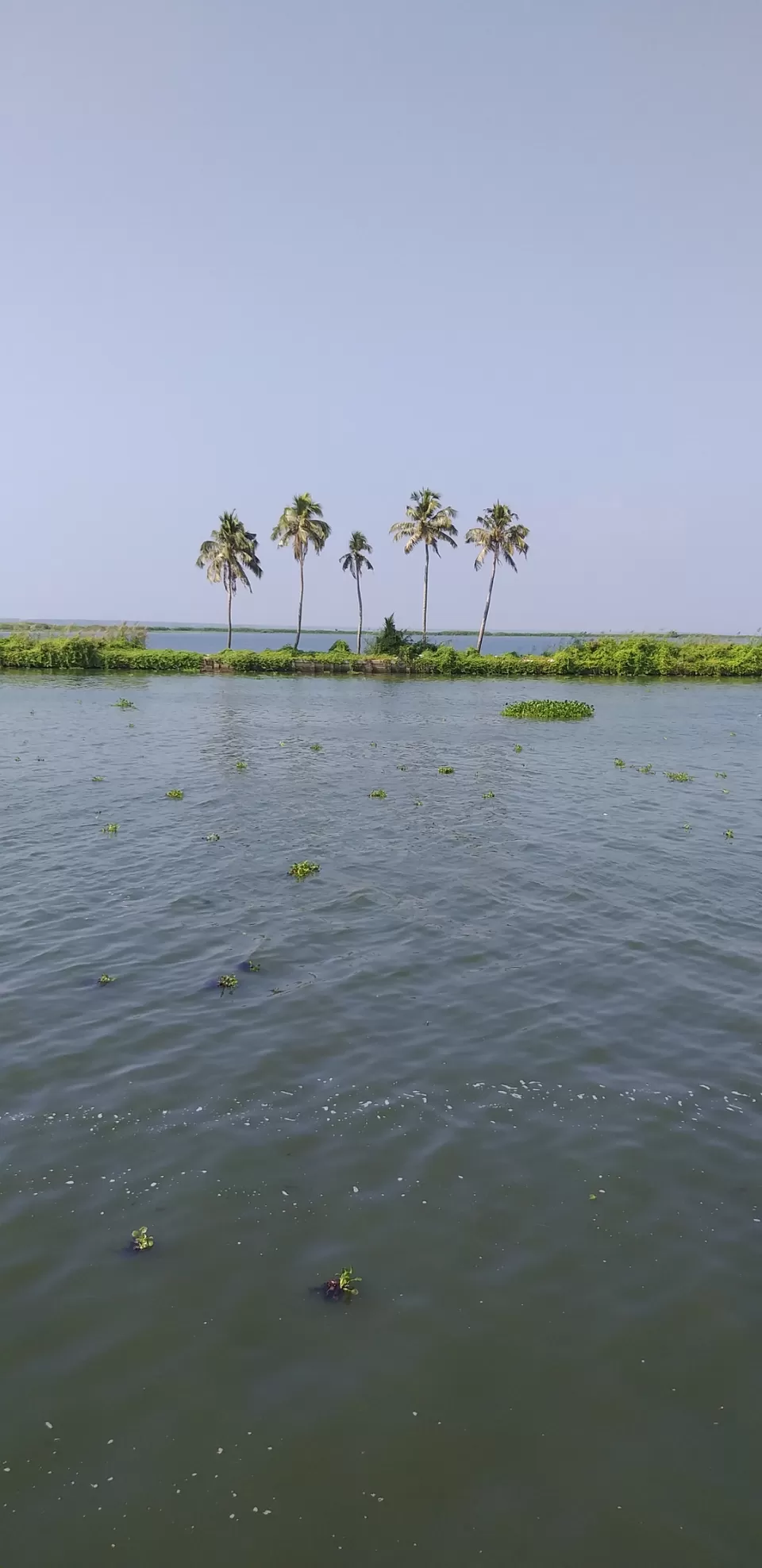 Photo of Kerala Backwaters, Punnamada Boat Jetty Road, Punnamada, Kottankulangara, Alappuzha, Kerala, India by Jojo Thomas