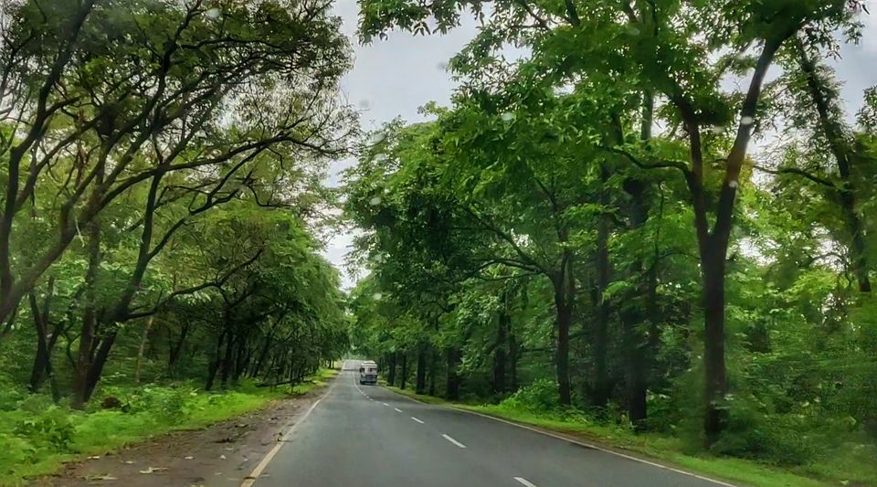Photo of A Mesmerizing Trek to the Mighty Dudhsagar Falls and Goa in Monsoon by Main.Musafir