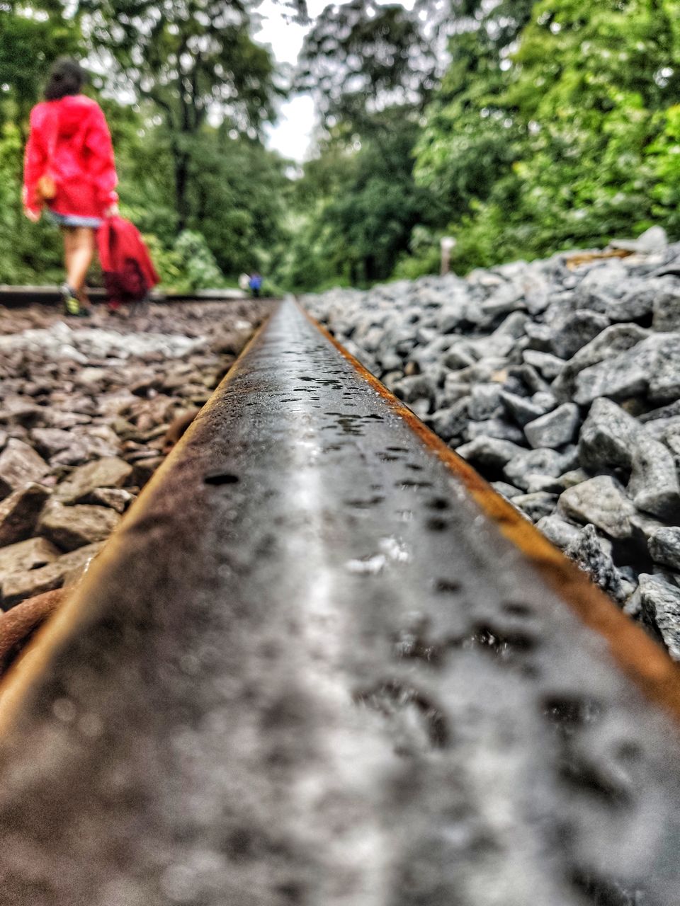 Photo of A Mesmerizing Trek to the Mighty Dudhsagar Falls and Goa in Monsoon by Main.Musafir