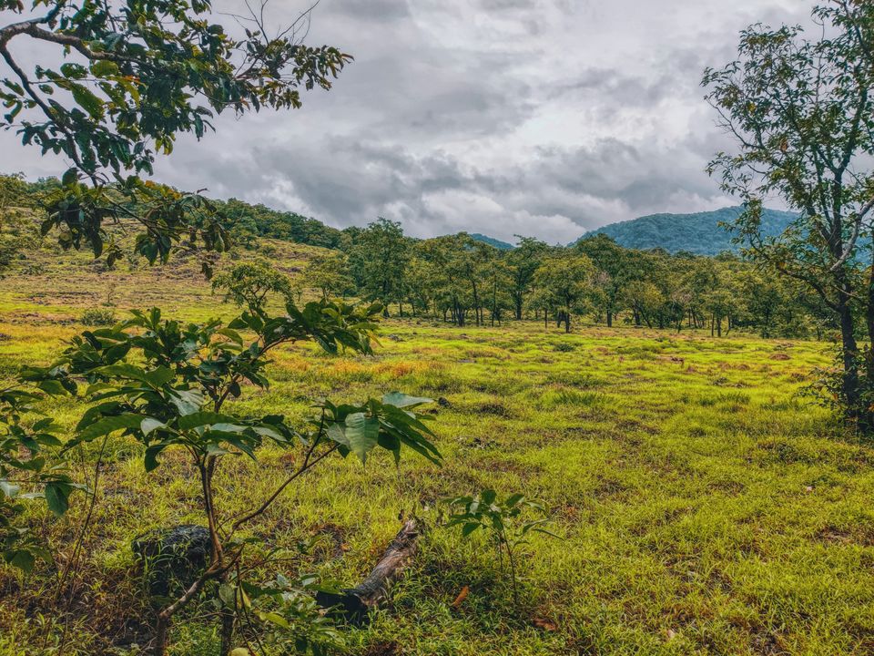 Photo of A Mesmerizing Trek to the Mighty Dudhsagar Falls and Goa in Monsoon by Main.Musafir