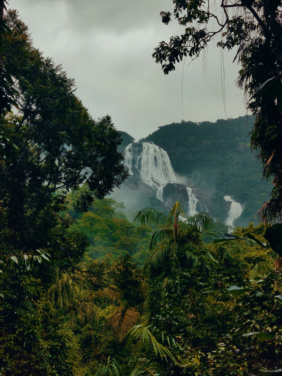 Photo of A Mesmerizing Trek to the Mighty Dudhsagar Falls and Goa in Monsoon by Main.Musafir