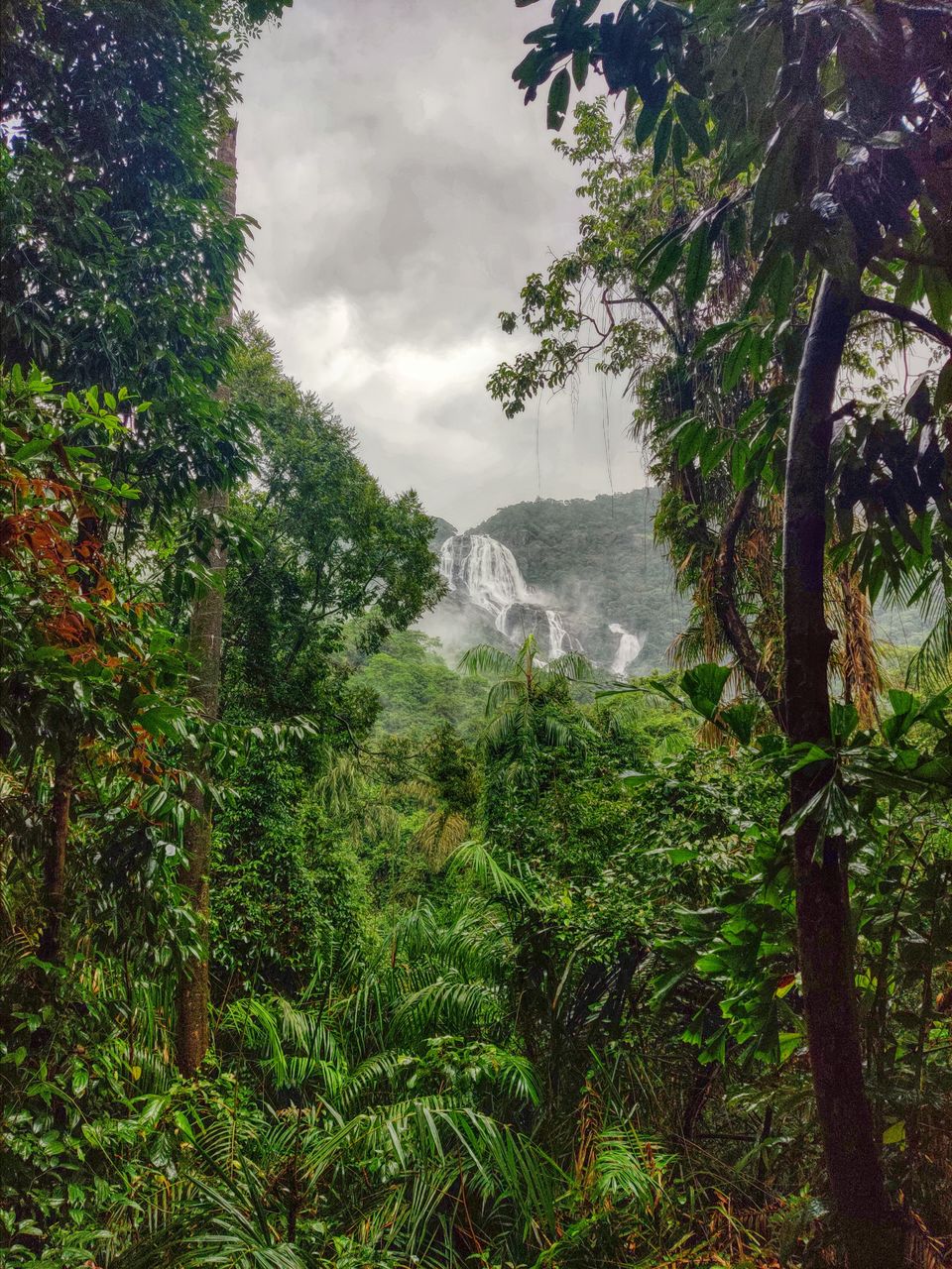 Photo of A Mesmerizing Trek to the Mighty Dudhsagar Falls and Goa in Monsoon by Main.Musafir