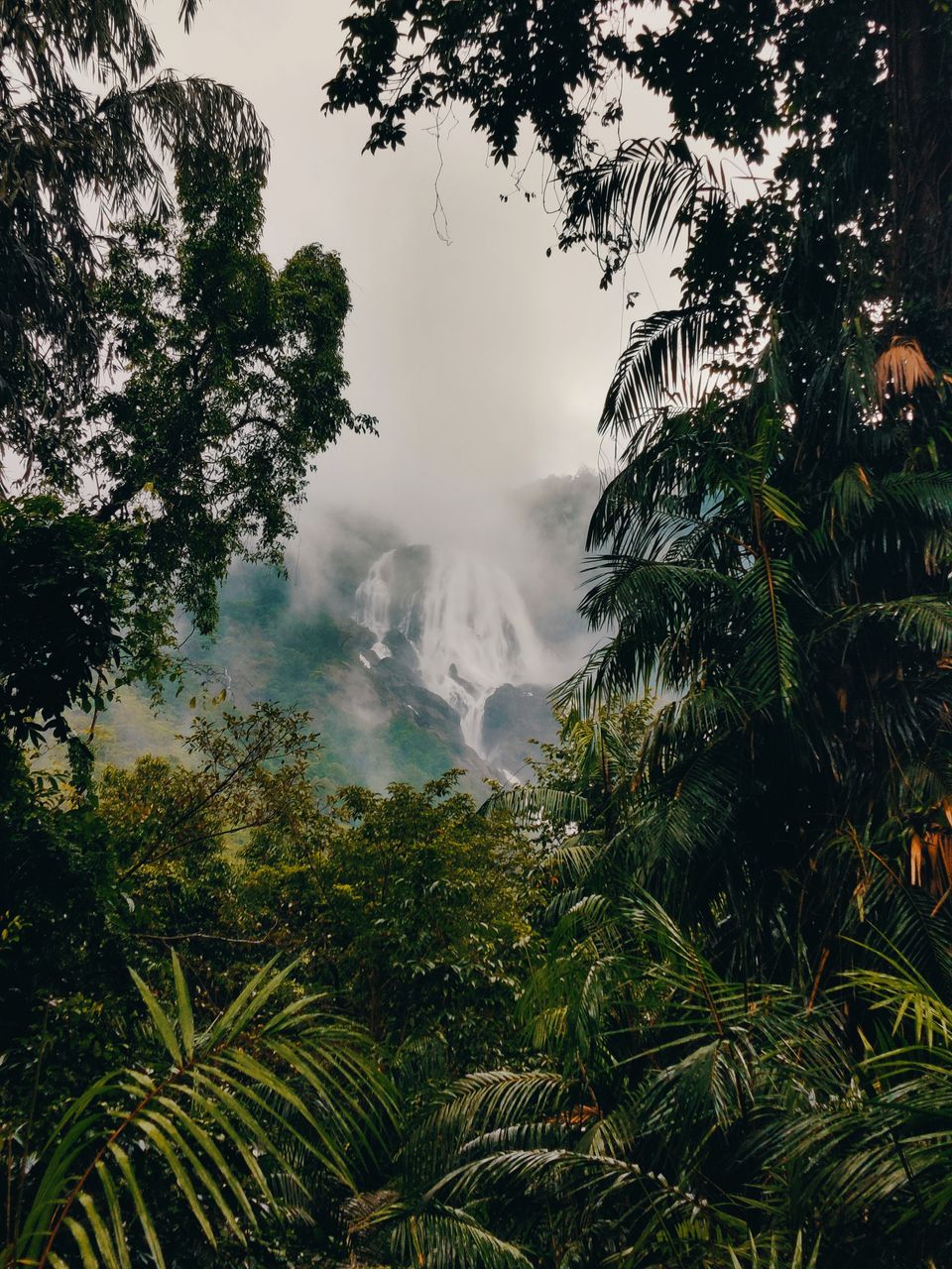 Photo of A Mesmerizing Trek to the Mighty Dudhsagar Falls and Goa in Monsoon by Main.Musafir