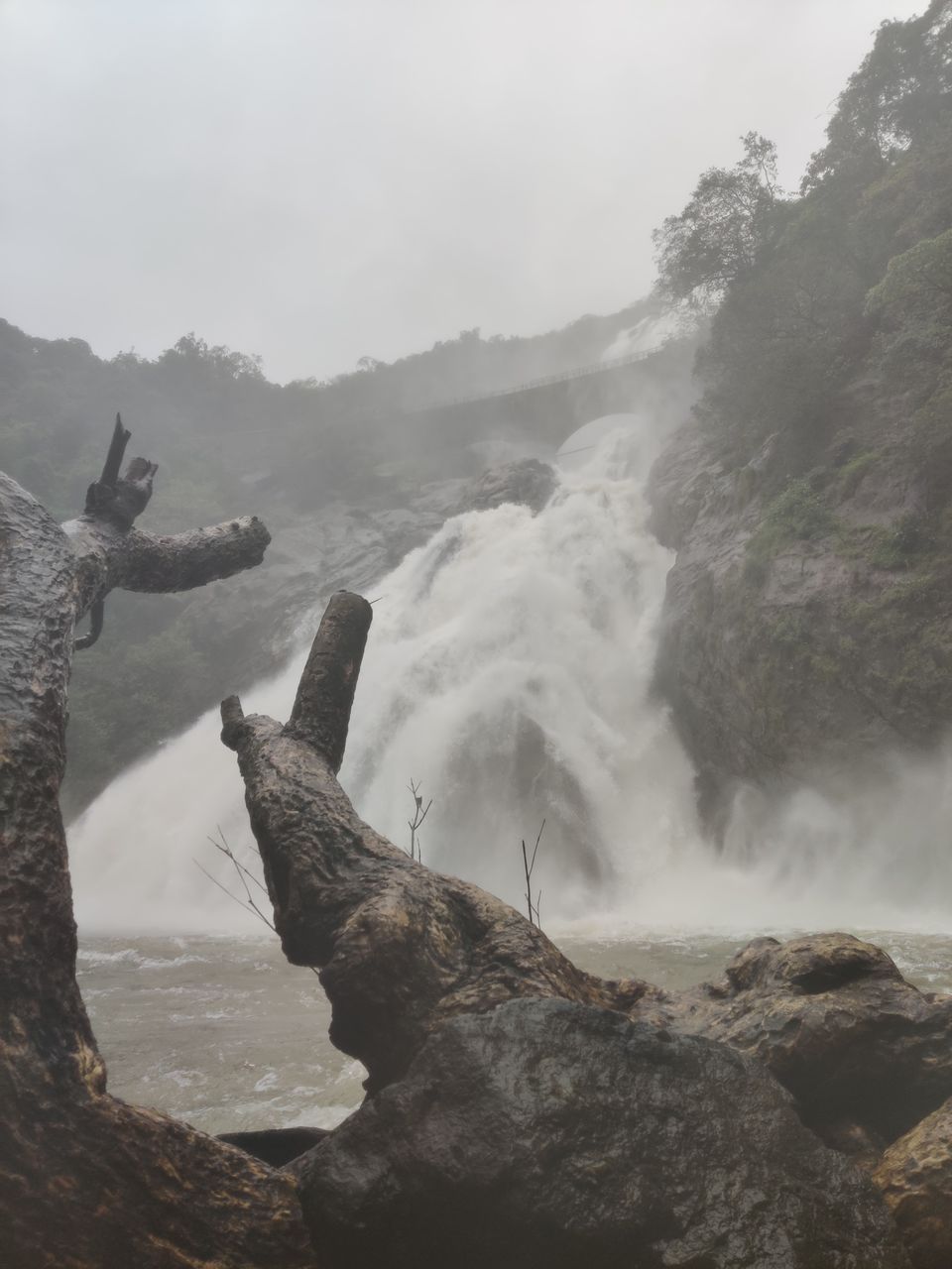 Photo of A Mesmerizing Trek to the Mighty Dudhsagar Falls and Goa in Monsoon by Main.Musafir