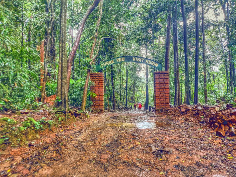 Photo of A Mesmerizing Trek to the Mighty Dudhsagar Falls and Goa in Monsoon by Main.Musafir
