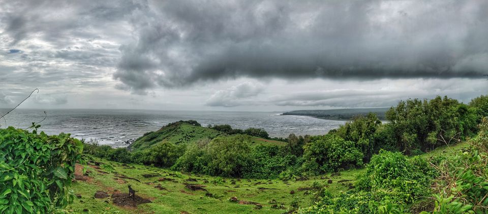 Photo of North Goa, Goa, India by Main.Musafir