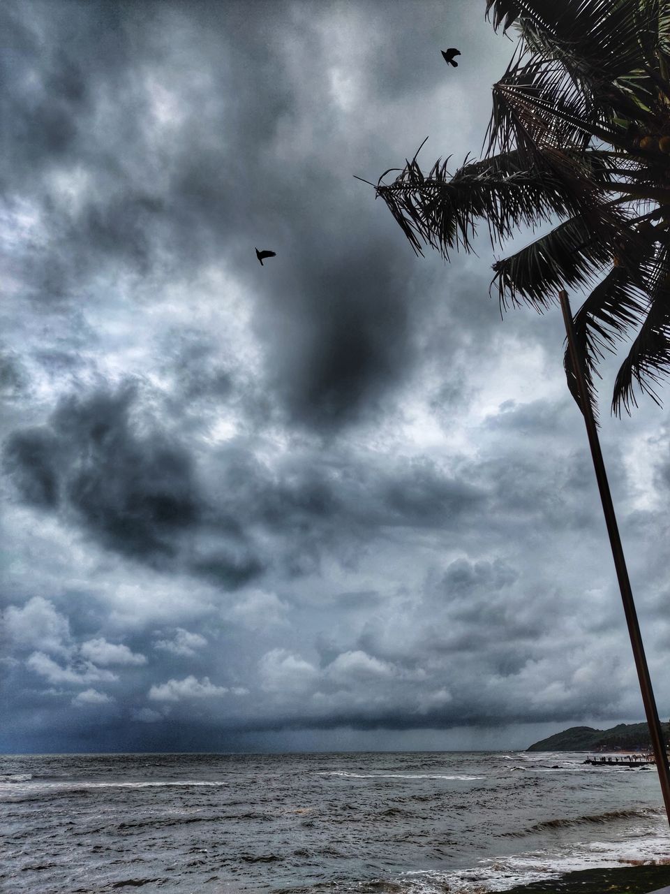 Photo of A Mesmerizing Trek to the Mighty Dudhsagar Falls and Goa in Monsoon by Main.Musafir