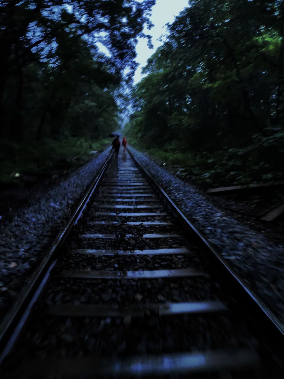 Photo of A Mesmerizing Trek to the Mighty Dudhsagar Falls and Goa in Monsoon by Main.Musafir