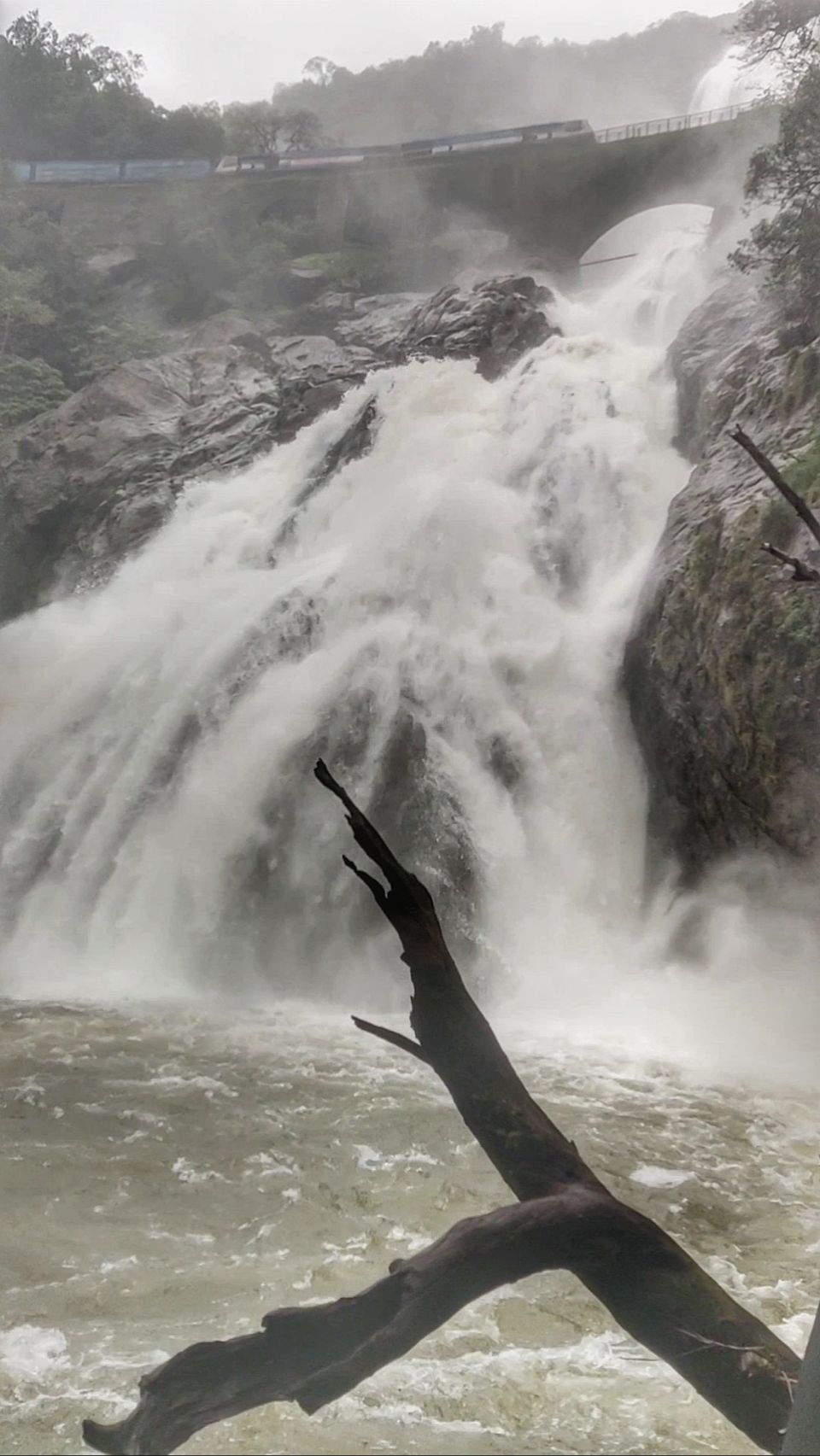 Photo of A Mesmerizing Trek to the Mighty Dudhsagar Falls and Goa in Monsoon by Main.Musafir