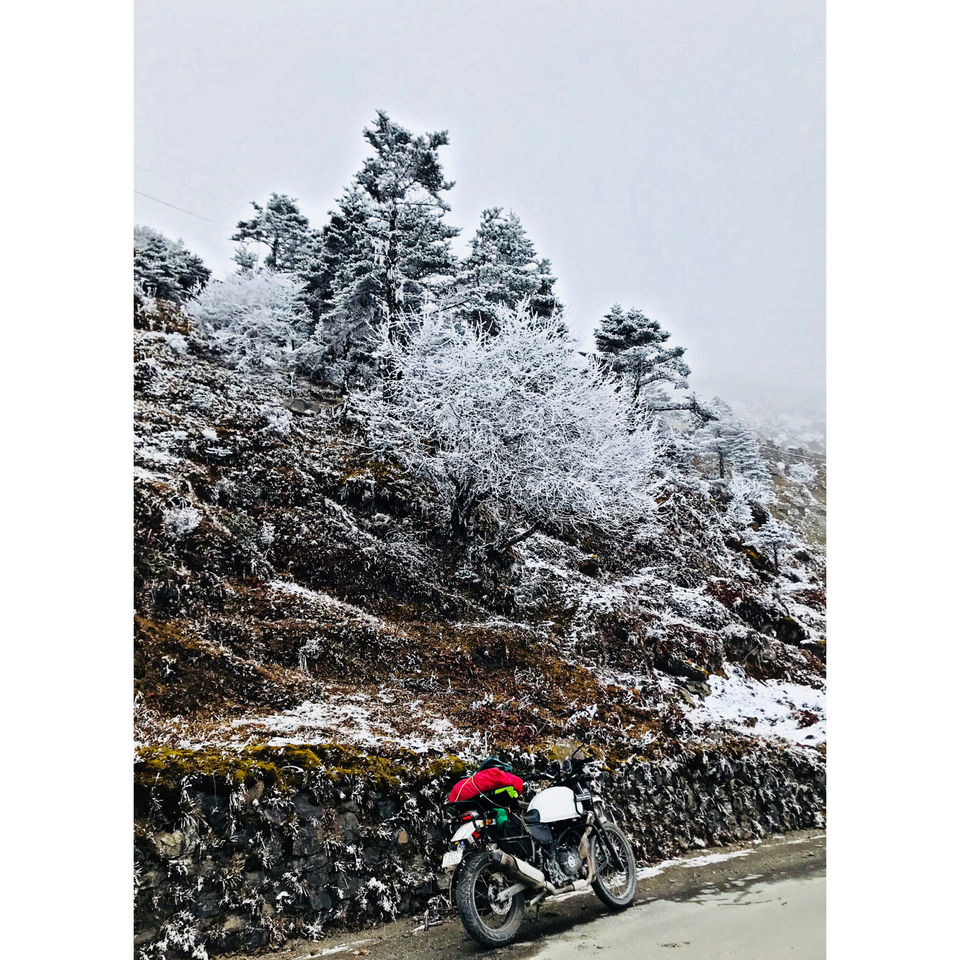 Photo of Onroad-offroad-noroad: Arunachal pradesh by Rishabh Singhi