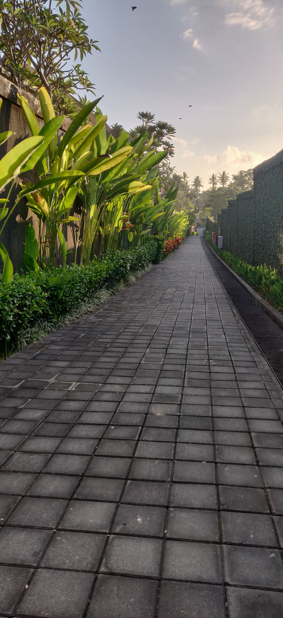 Photo of Bali :7 Days Travel Guide by Tanya Singh