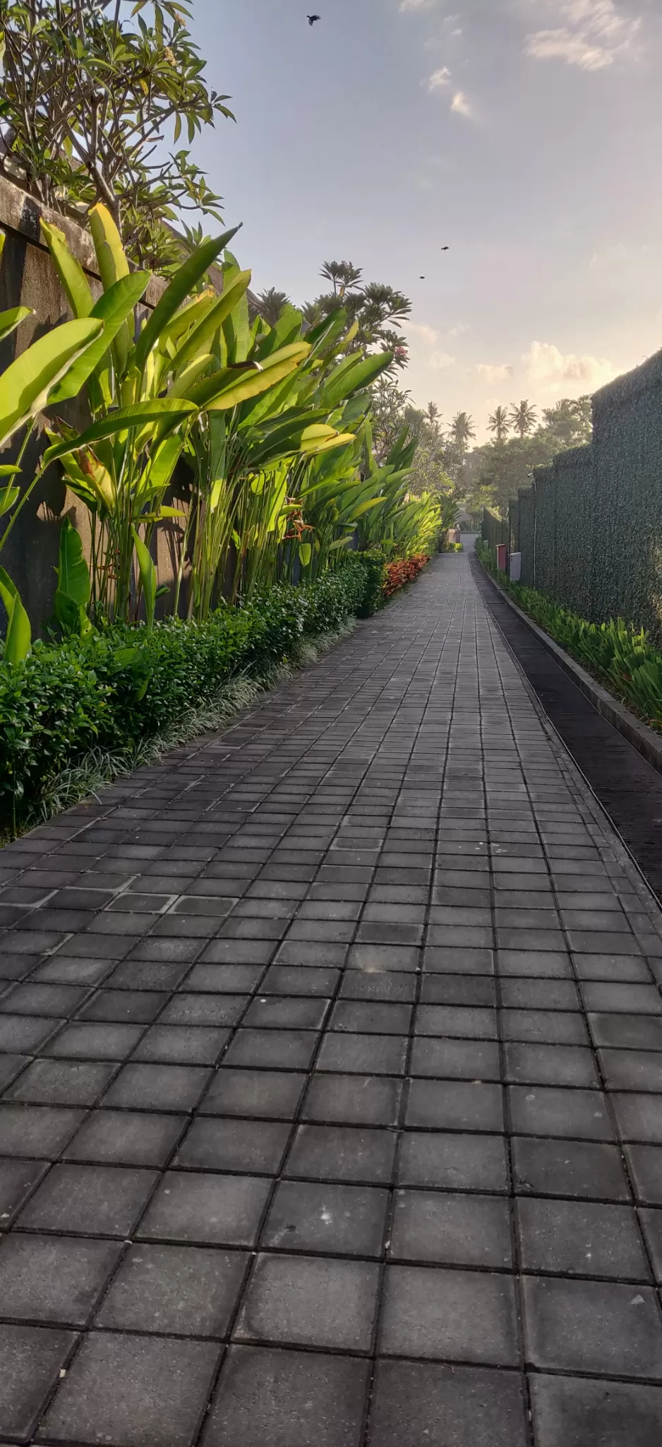 Photo of Bali :7 Days Travel Guide by Tanya Singh