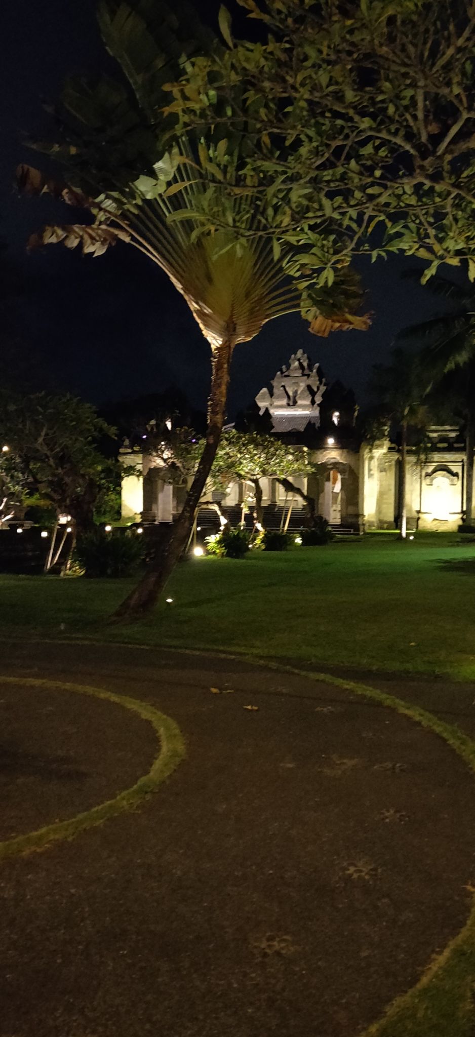 Photo of Bali :7 Days Travel Guide by Tanya Singh