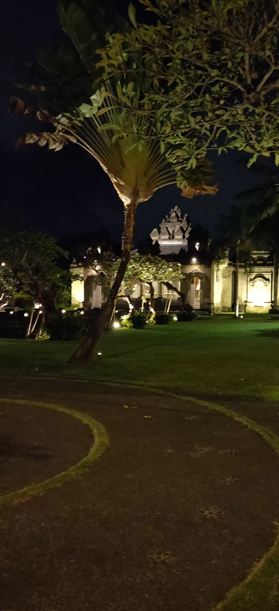 Photo of Bali :7 Days Travel Guide by Tanya Singh