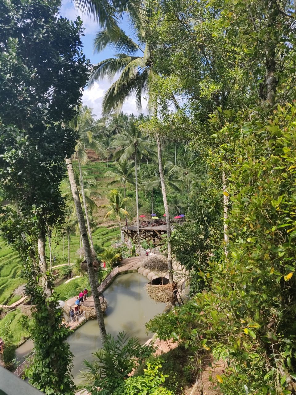 Photo of Bali :7 Days Travel Guide by Tanya Singh