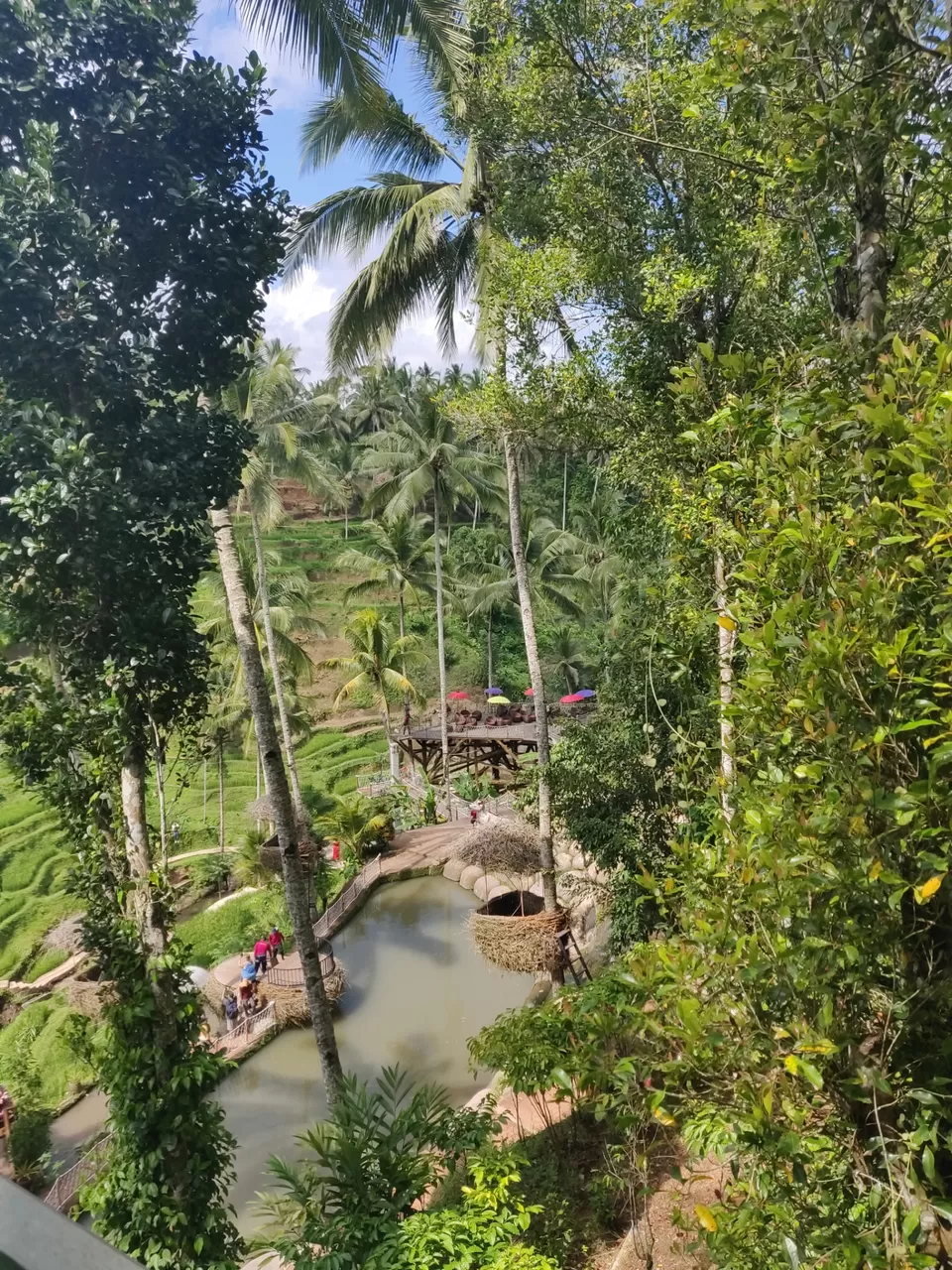 Photo of Bali :7 Days Travel Guide by Tanya Singh